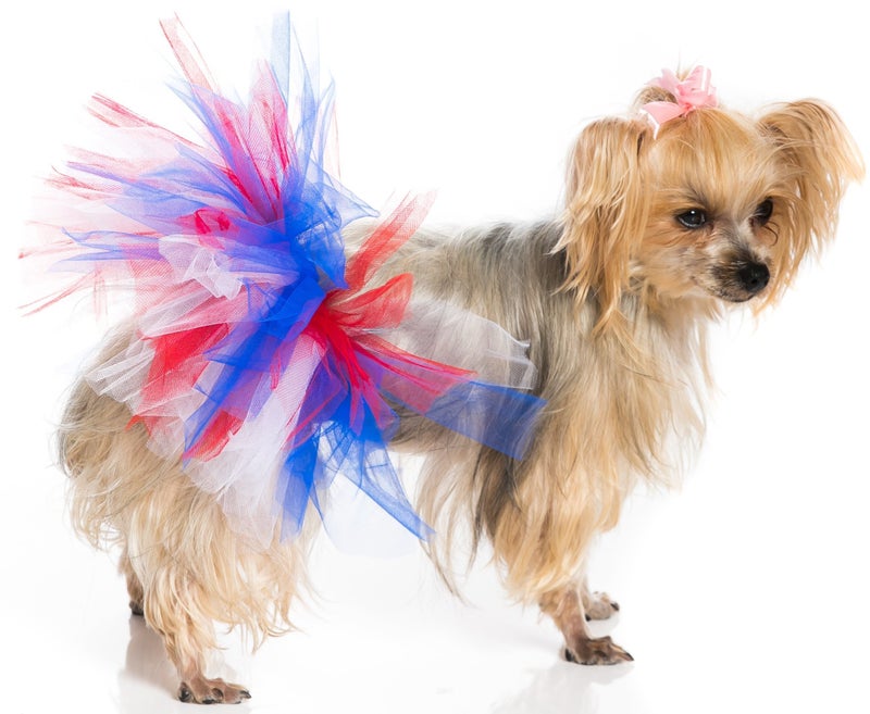 Pawpatu Handcrafted Red, White, Blue USA Flag Colors Mesh Tutu for Extra Small Dogs with 4 to 6 inch Waist - Image 2